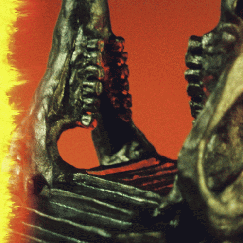 King Gizzard and the Lizard Wizard : Organ Farmer